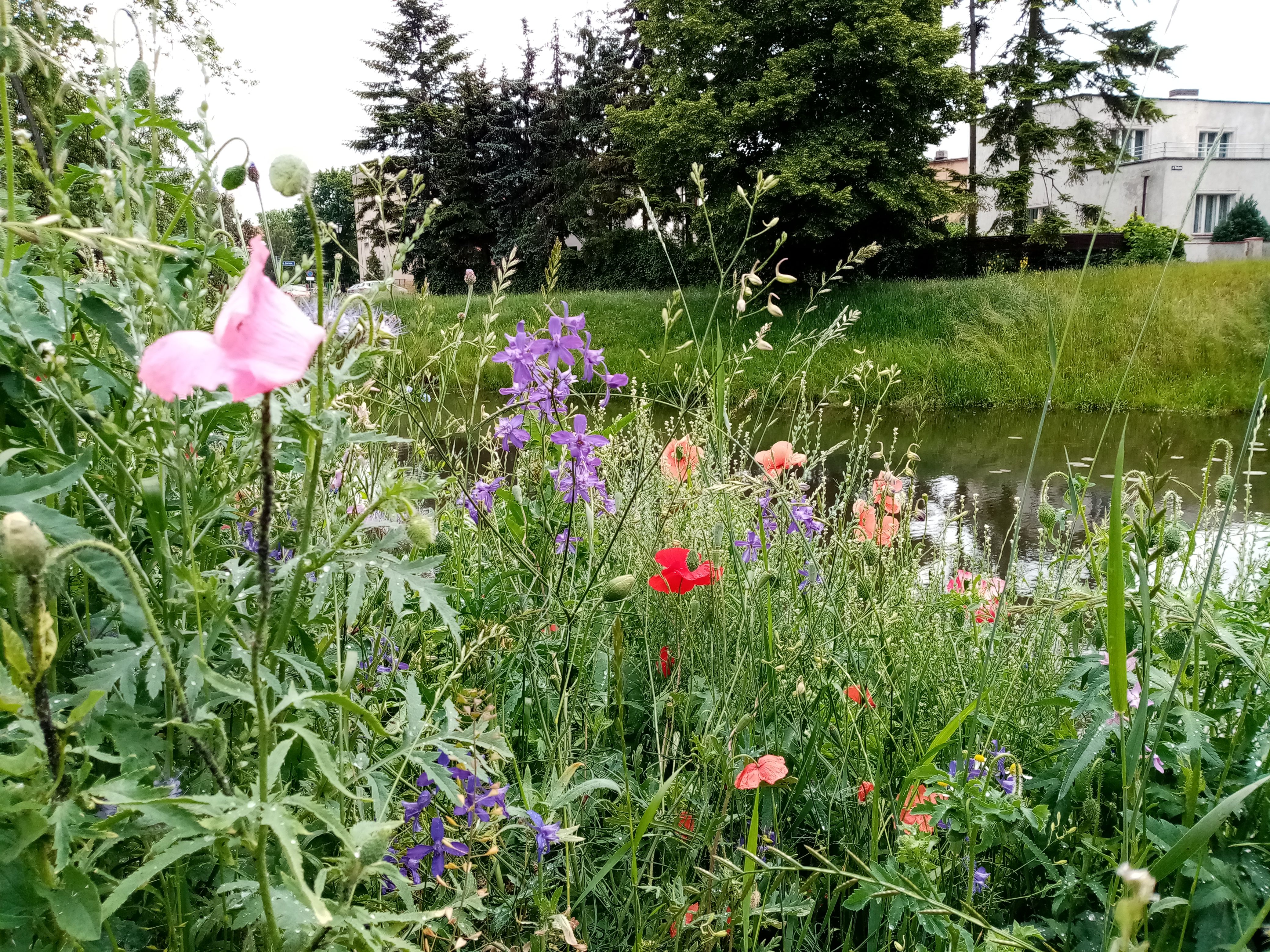 image-d7b8148c77b482b73bb74682885cf511e0ab7ed9-4160x3120-jpg