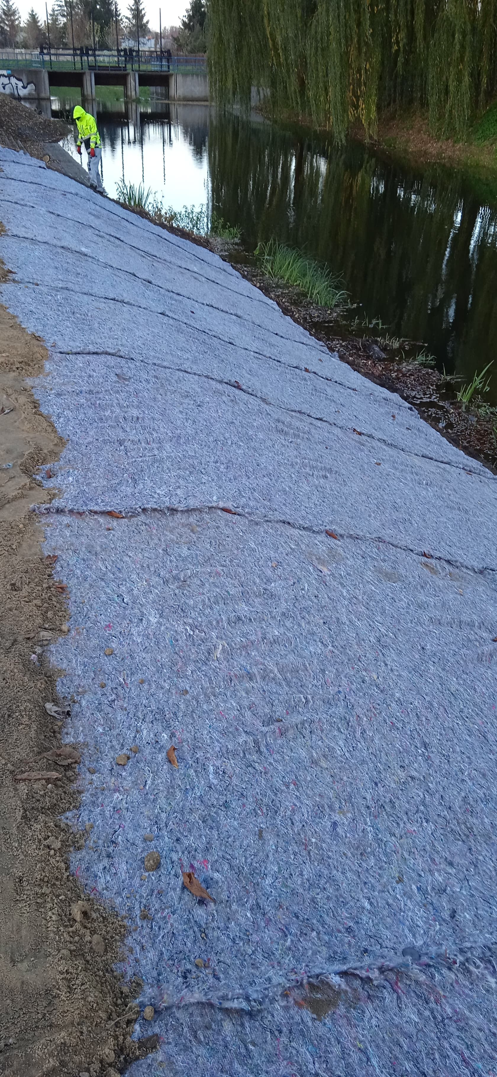 image-dd202cb47d40038ac040767852bac45ce9b92702-1680x3640-jpg