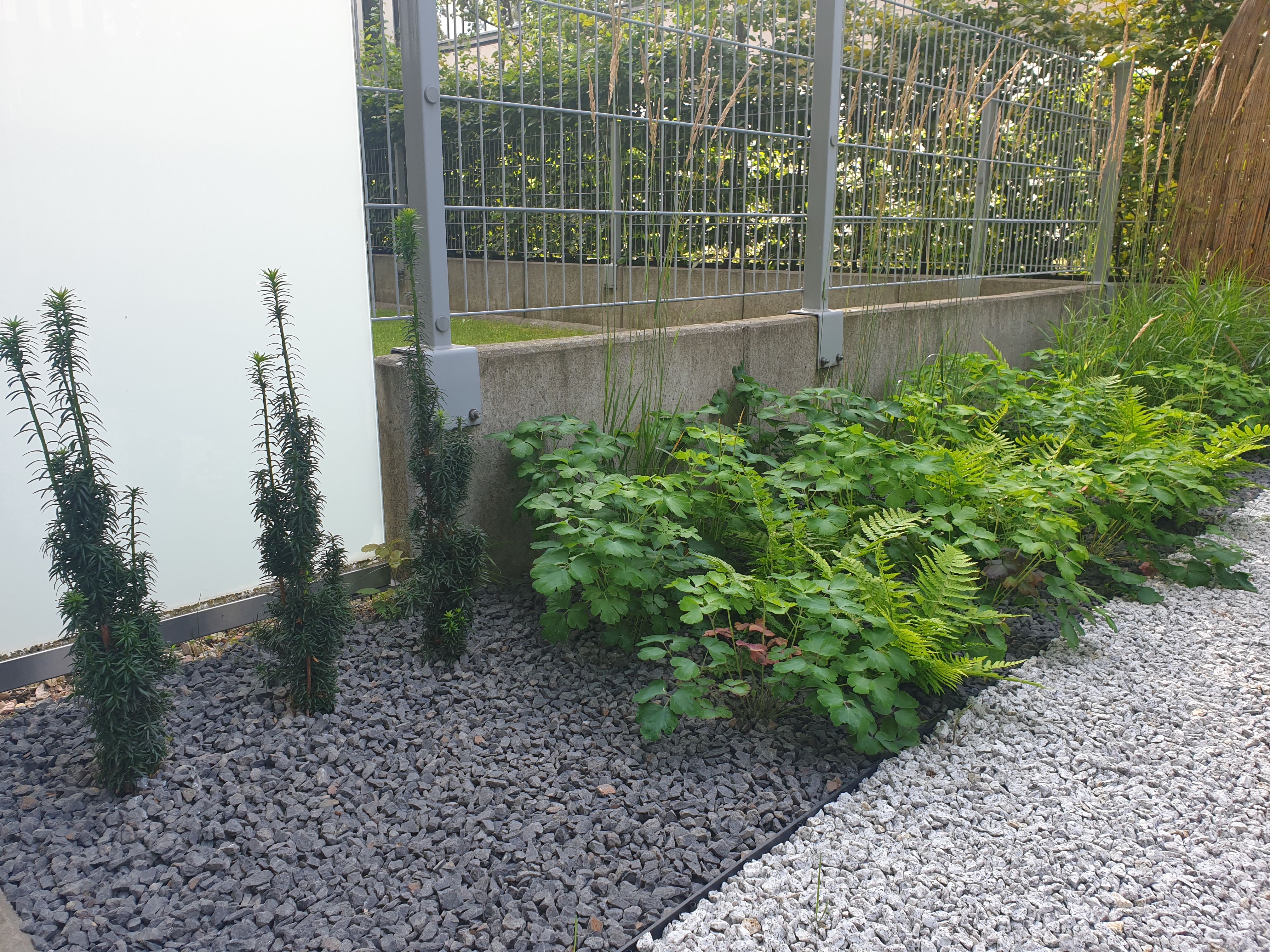 image-deac1012776091870c51696527986d86efadec87-4032x3024-jpg