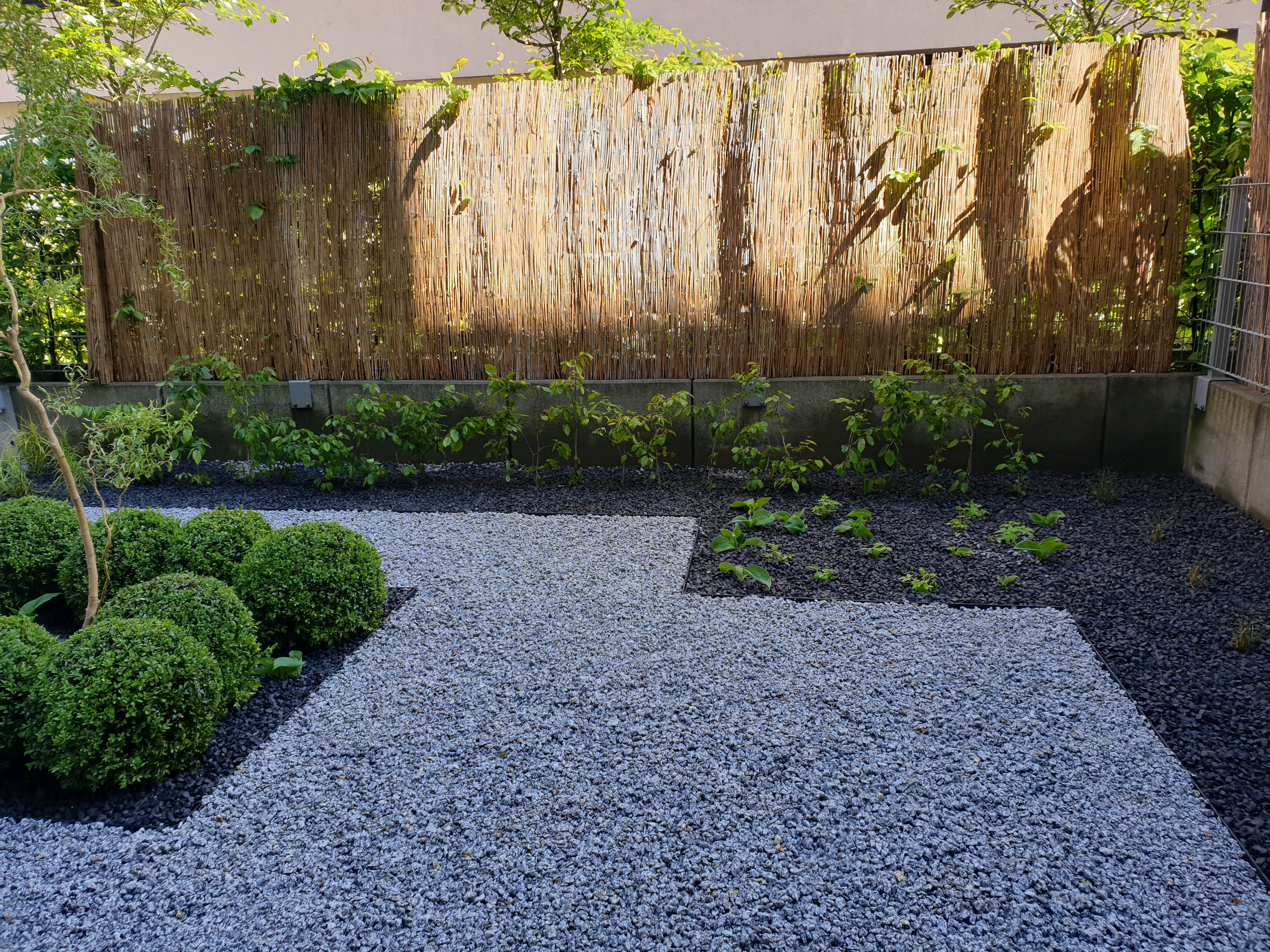 image-e067d48c8fc0c748e9e86b813fa11a1eaa37999c-4032x3024-jpg