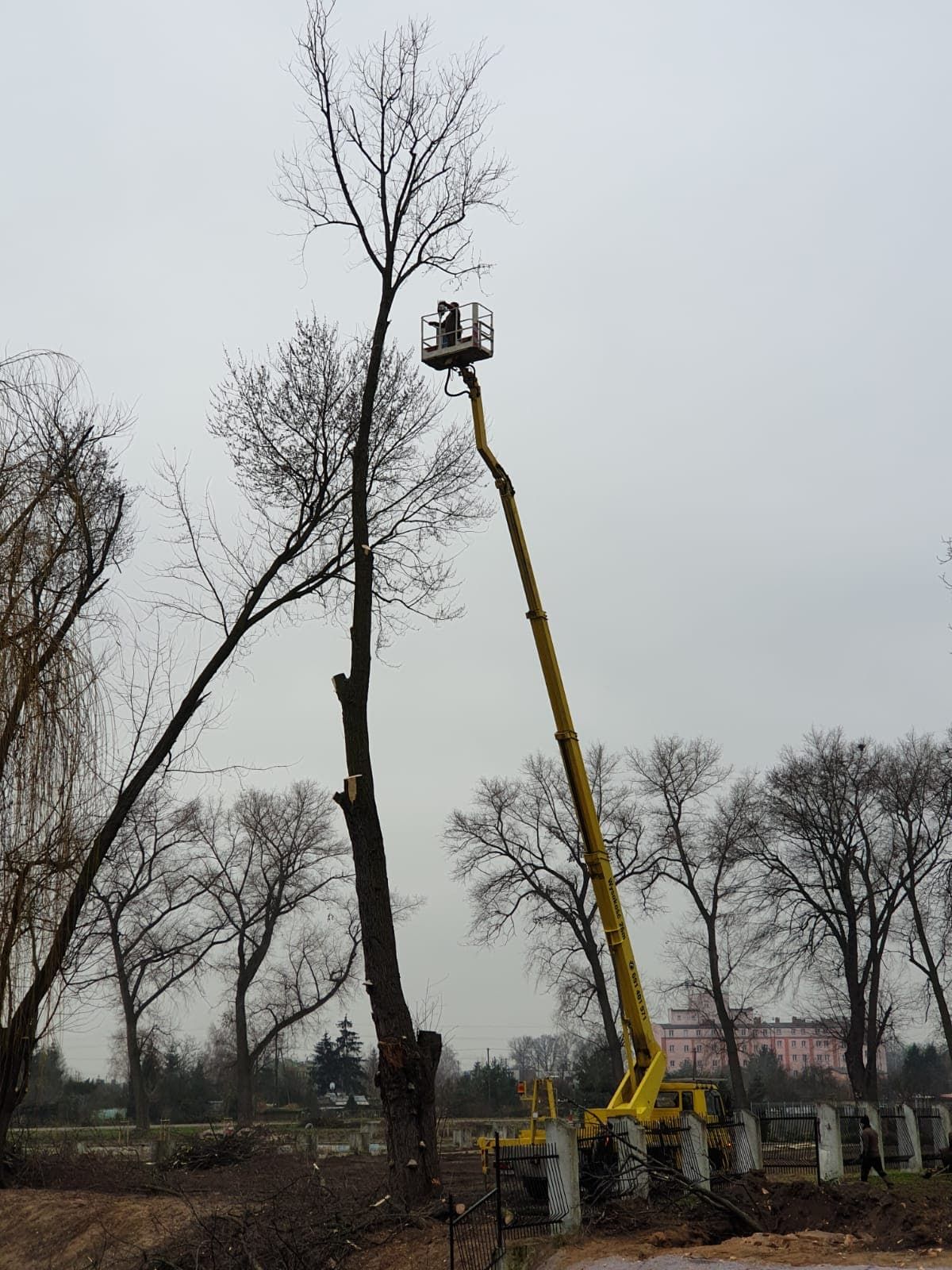 image-e2076136b0f2ff9617e76db8a7238fb3b8eb5e84-1200x1600-jpg