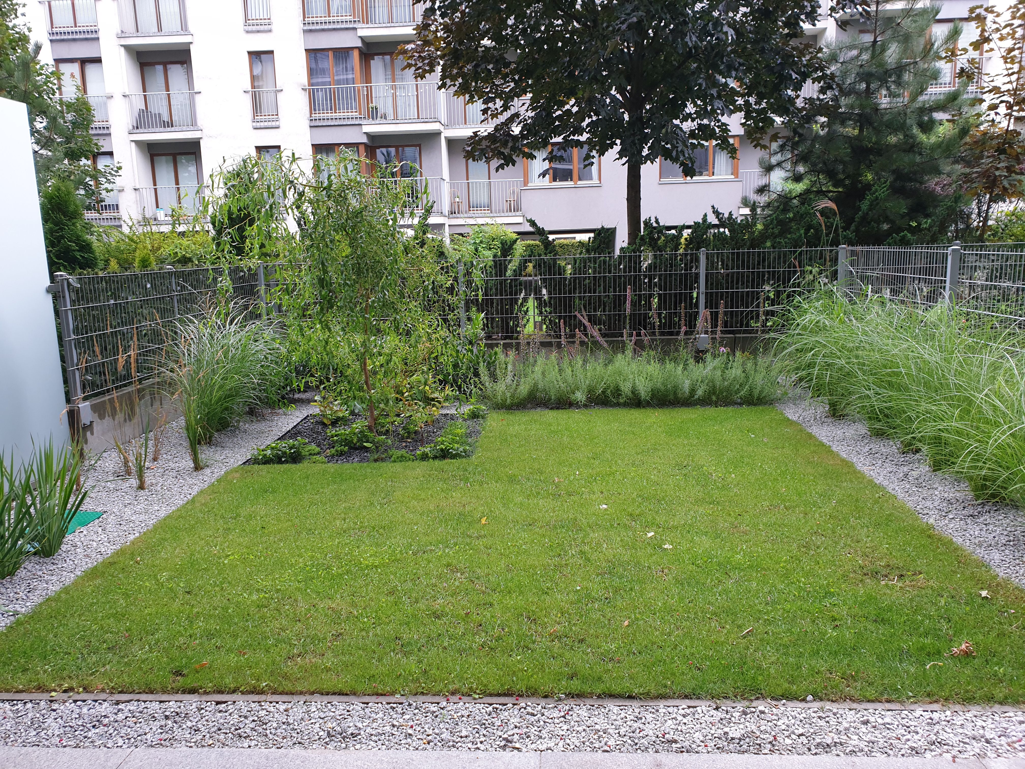 image-e4d902c4da3d7c2a7a477ceb840d16de39438a95-4032x3024-jpg