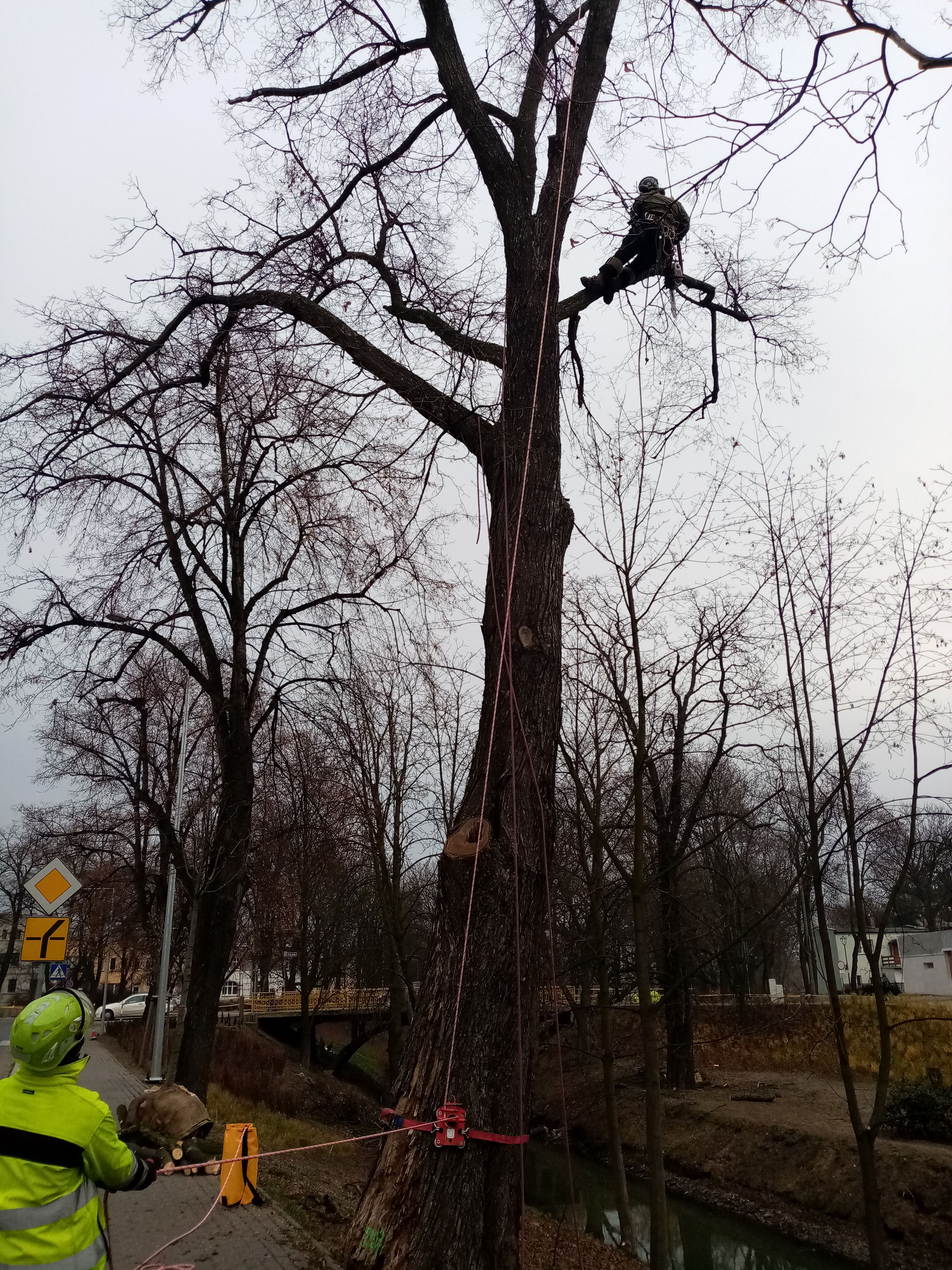 image-eb1e33de4ac558b358c0addc12c8bad8d0c6946d-3120x4160-jpg