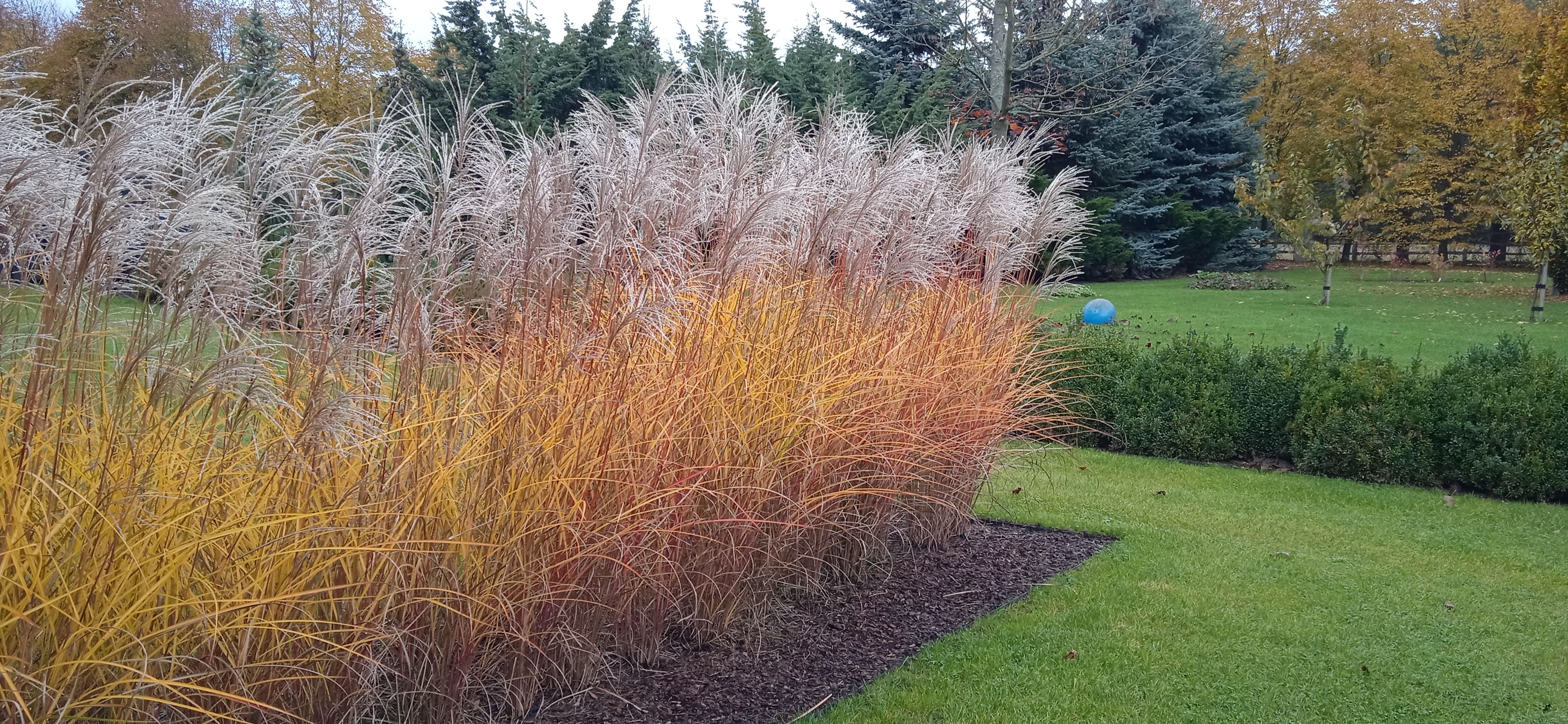 image-ef28ae264c6f264eb8bdeca395cfc37615f55359-4160x1920-jpg