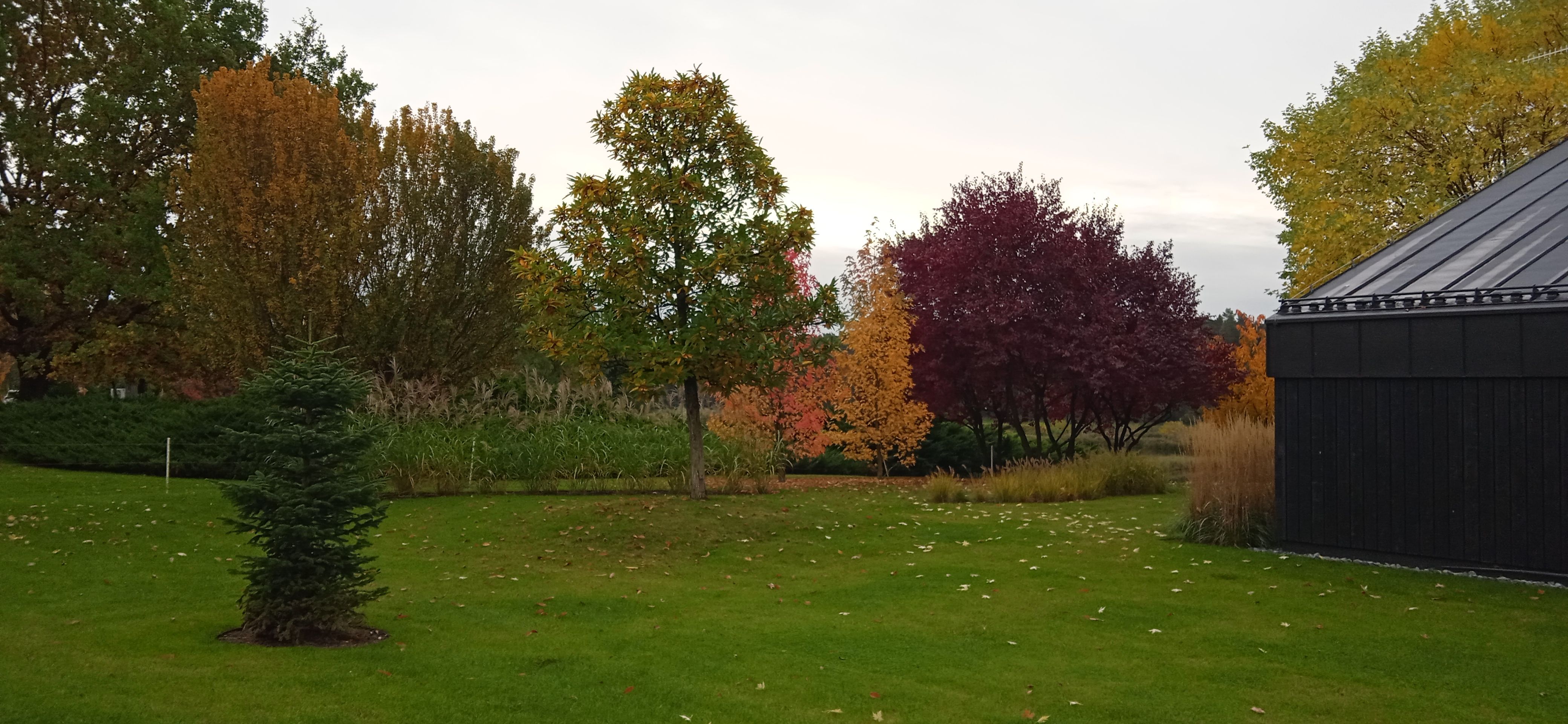 image-f44d7d775d8de2c5ef8b72b07a24fdc7ba747461-4160x1920-jpg