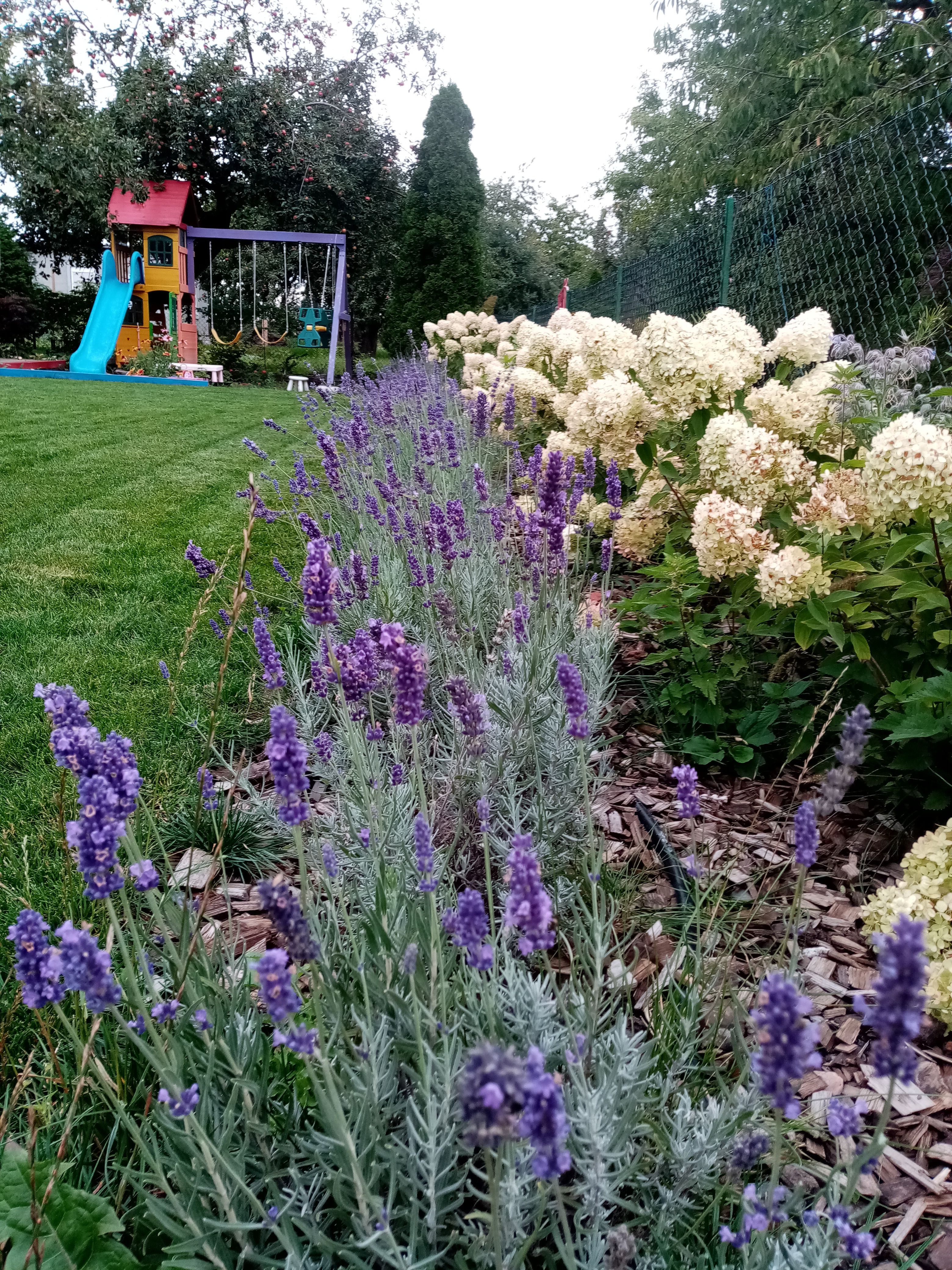 image-f746a29b5faf9ea6a9dab47ed25ed002112bafec-3120x4160-jpg