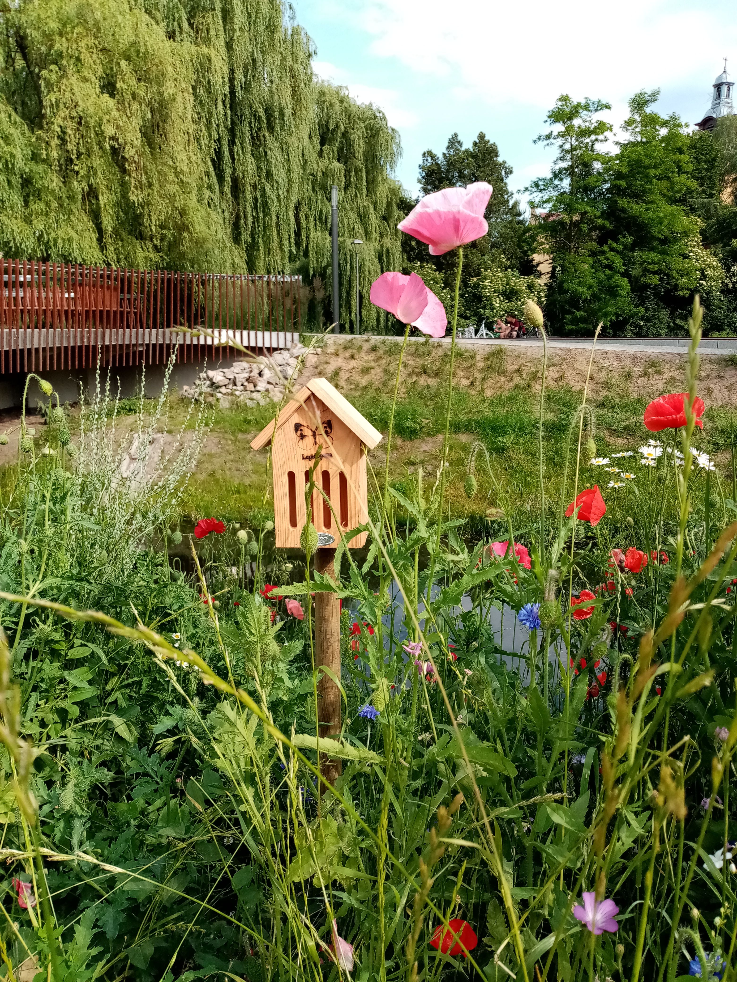 image-f8a50dabdd8421fa592741253158055ccfbd5844-3120x4160-jpg