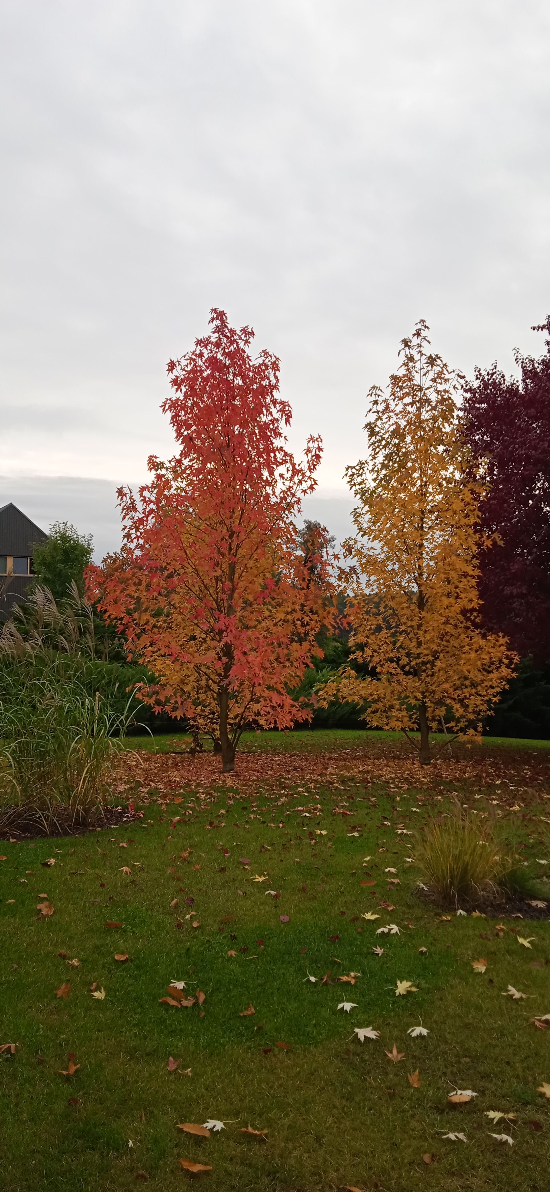 image-fb61bf7f5e8622a3813759772e9e9350600ebbd6-1920x4160-jpg