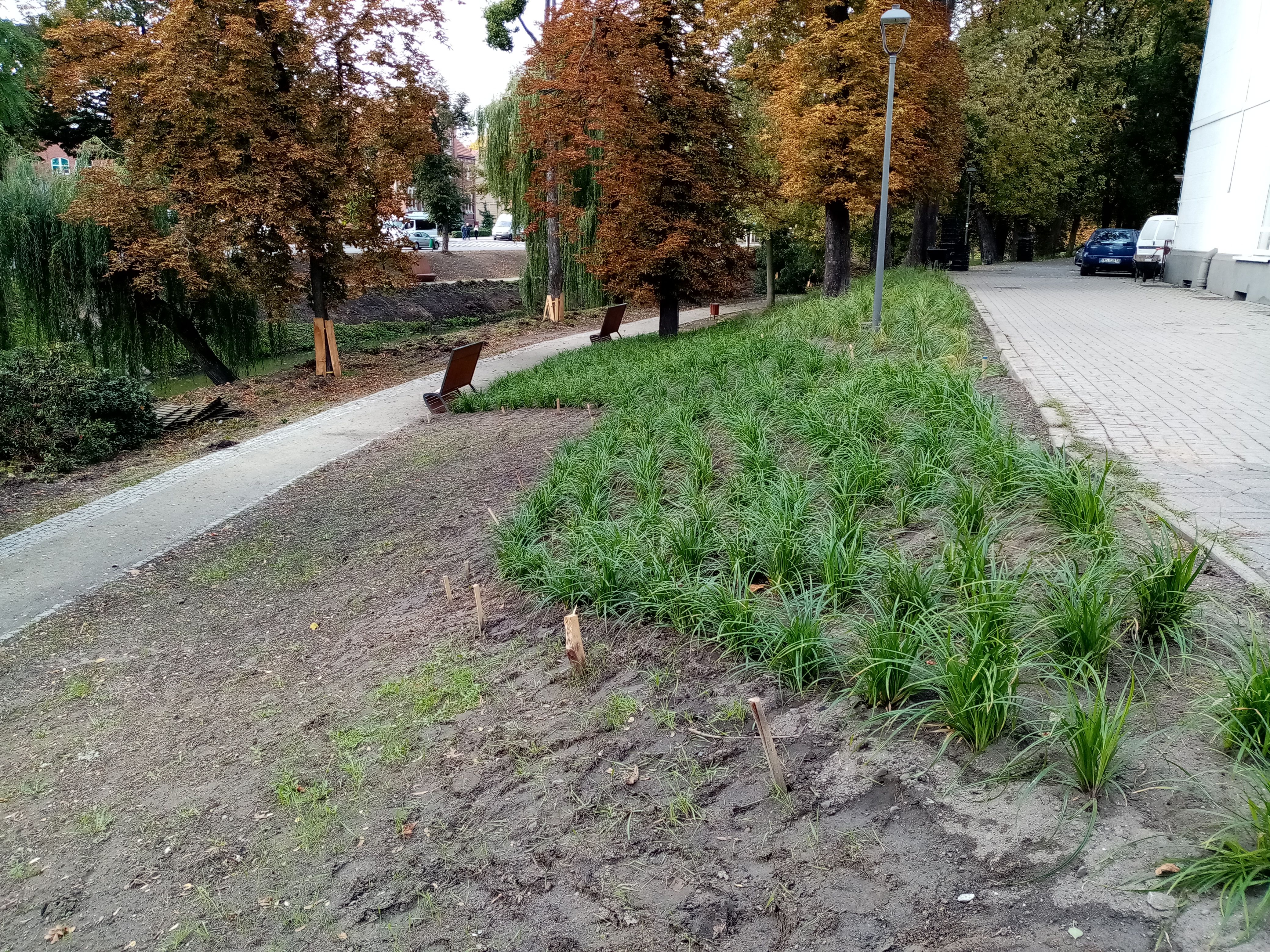 image-fe537d4c429ad521195b8cbf1cf4132e399c1c7e-4160x3120-jpg