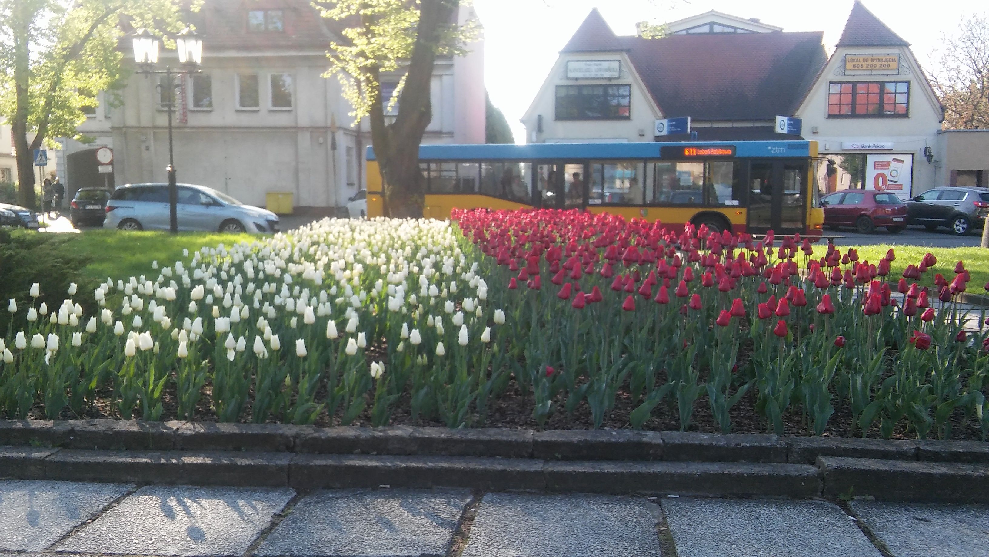 image-ff3048f589c56b73e5776047fcf9aa1f6f10f6b4-3264x1840-jpg