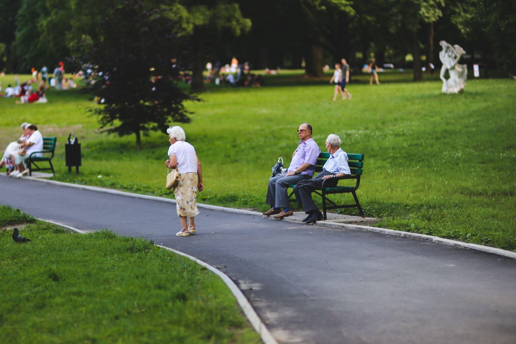 Older adults spend time in a sunny, tree-lined park, with one person walking along a paved path while two others sit together on a green bench, and more people relax on the grass in the background.
