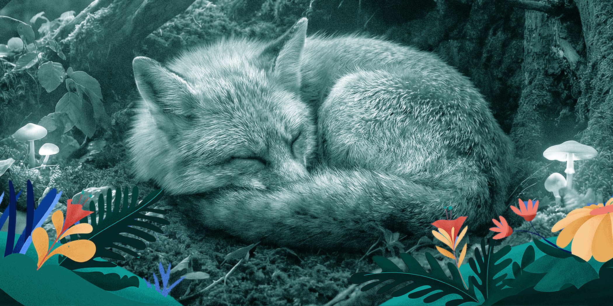 Why Do I Wake Up at 3 a.m.? Common Causes & Fixes