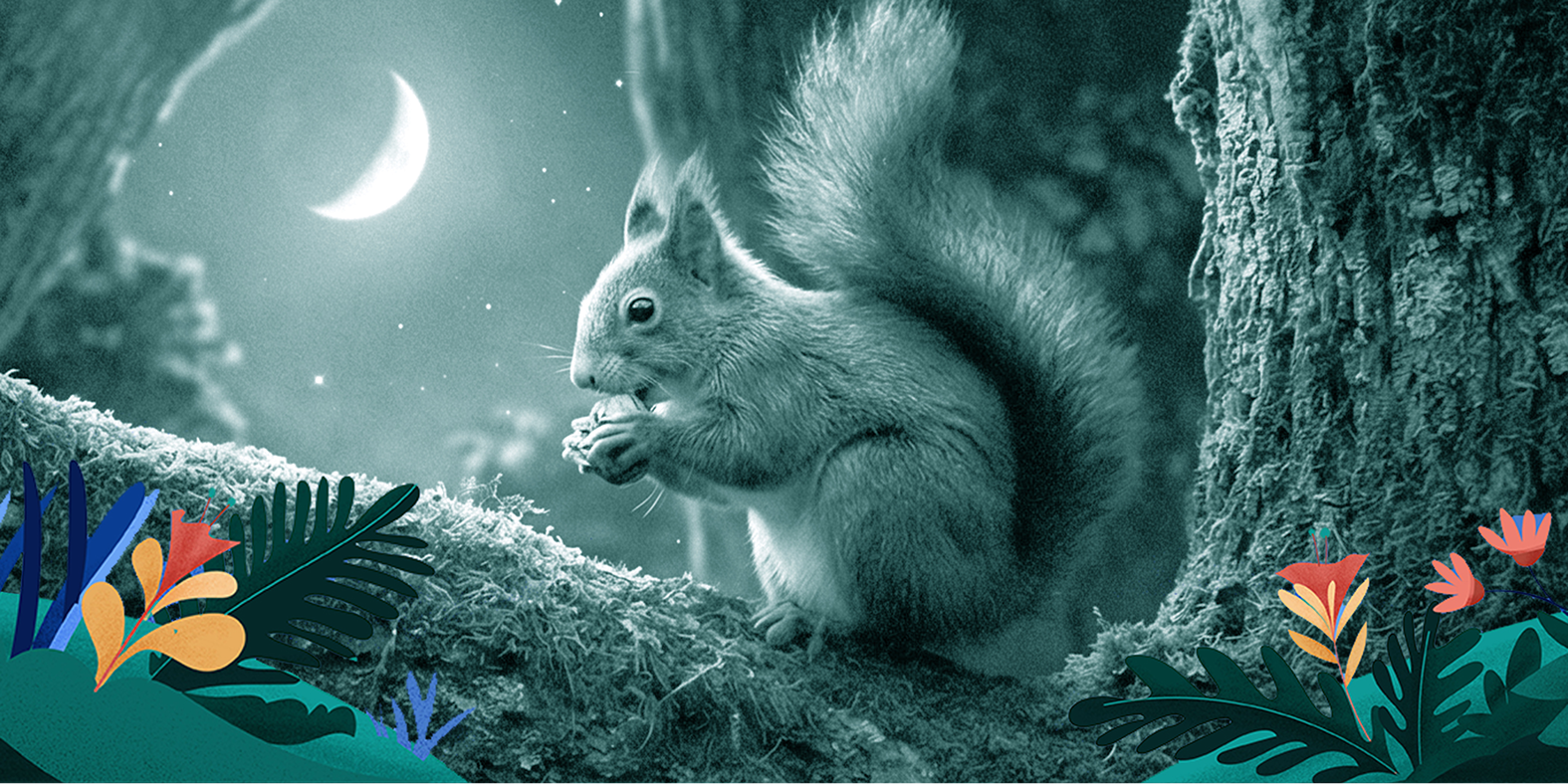 Best Sleep Aid for Adults with Anxiety