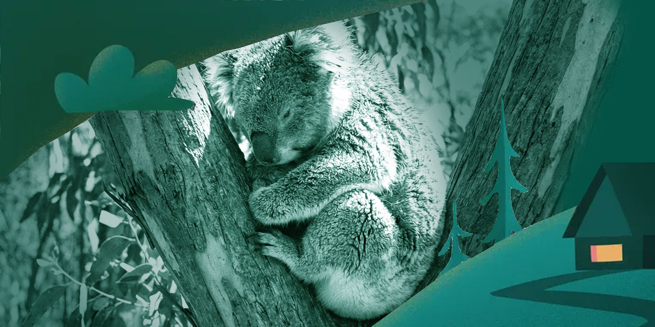 How Long Is a Power Nap? Here’s What a Sleep Expert Says