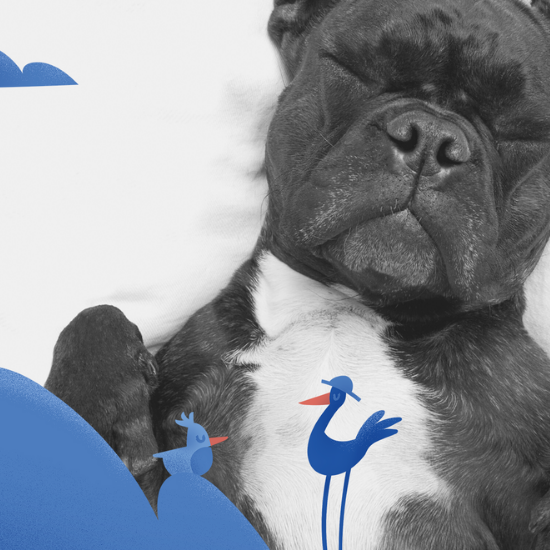 Sleeper Types: Back Sleepers