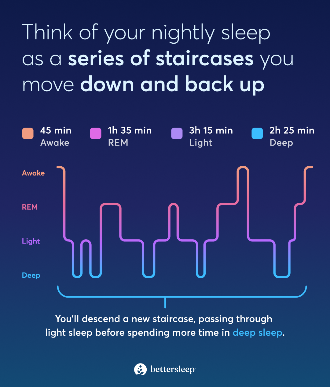Infographic that explains the cycles of deep and light sleep throughout the night.