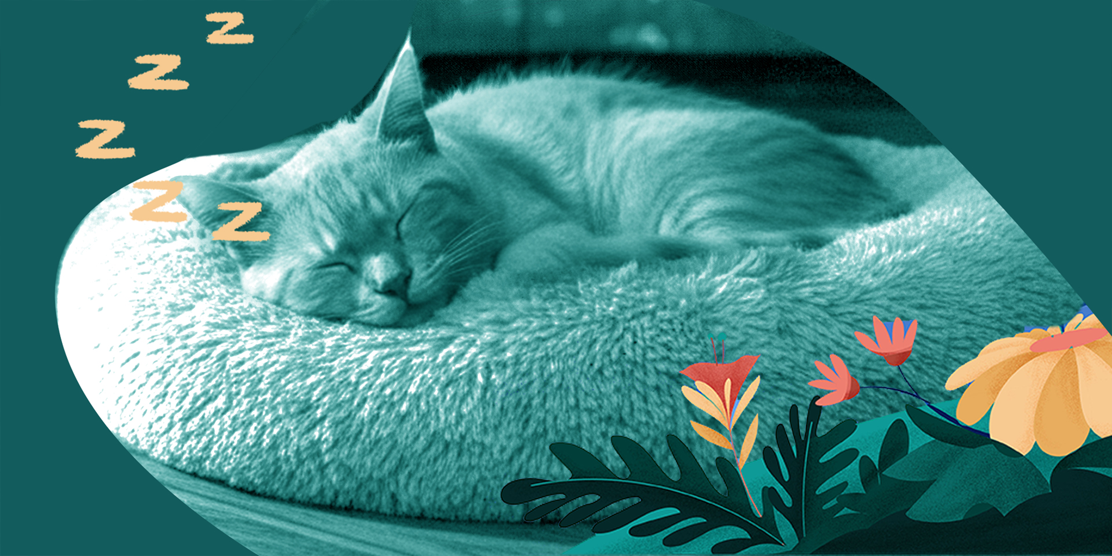 Cognitive Shuffling: A Technique to Fall Asleep Faster