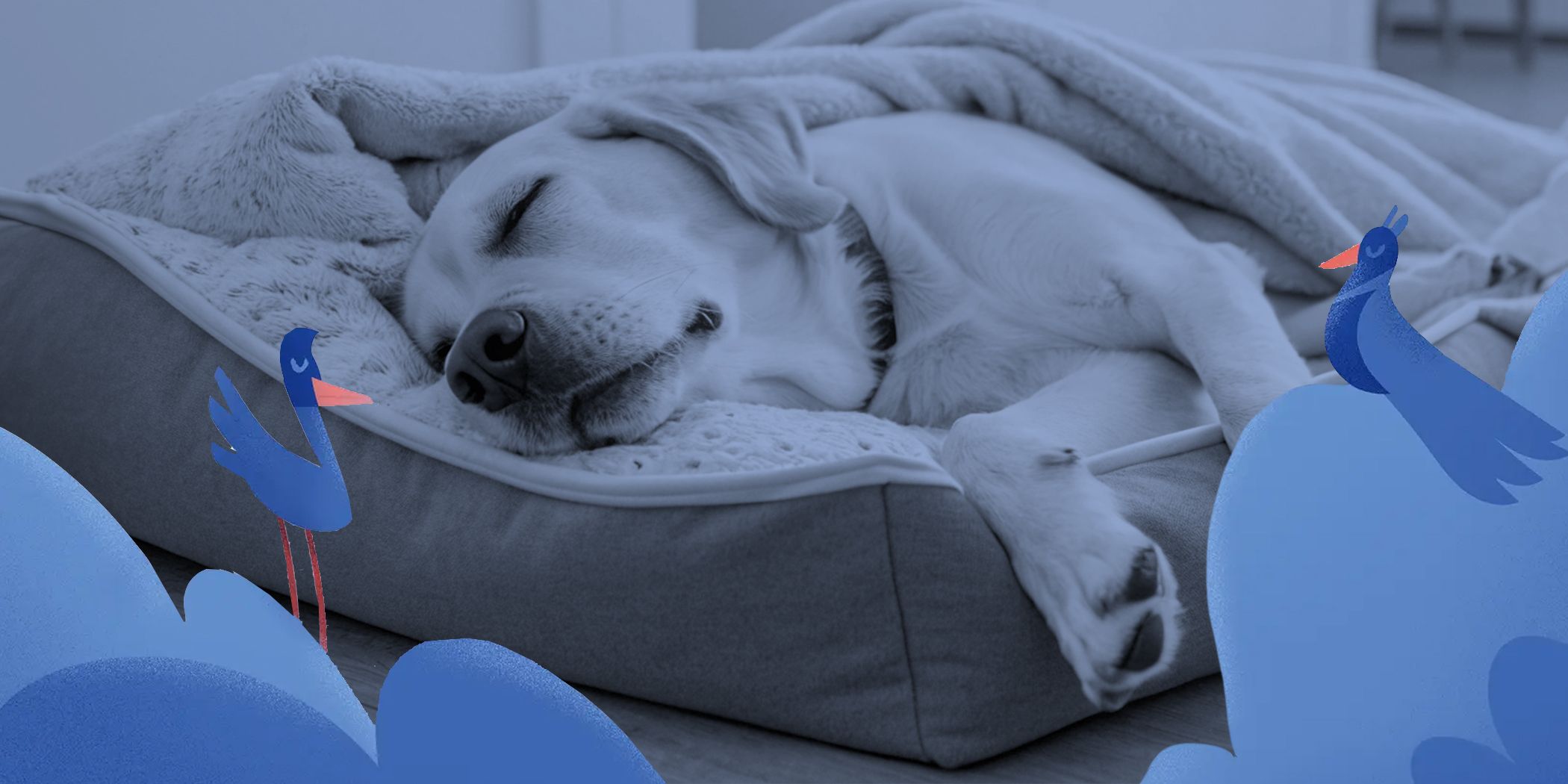 Insomnia Tips: Fall Asleep Faster, Wake Clearer