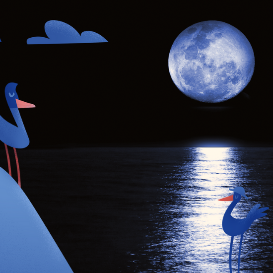 Don’t Blame it on the Moon