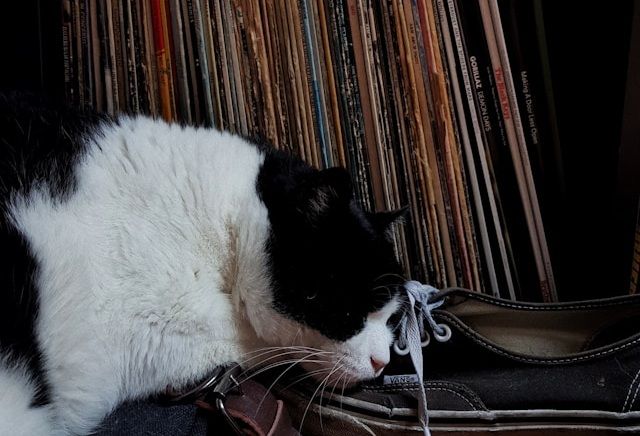 What kind of music is best for sleeping?