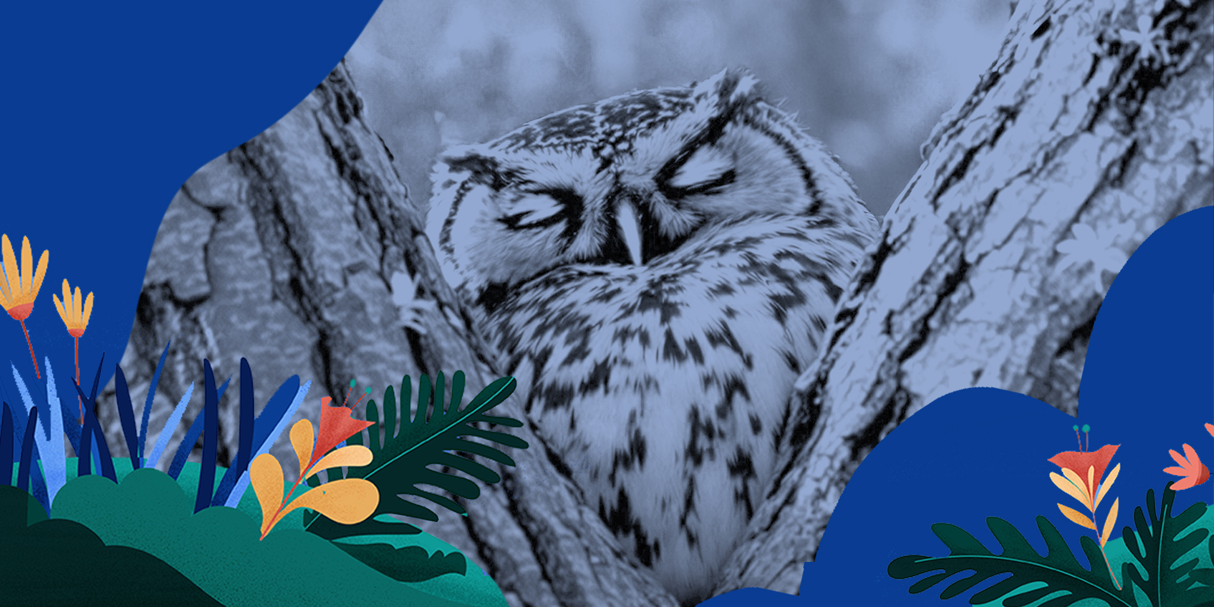 Is There a Cure for Tinnitus? What We Know and What Helps