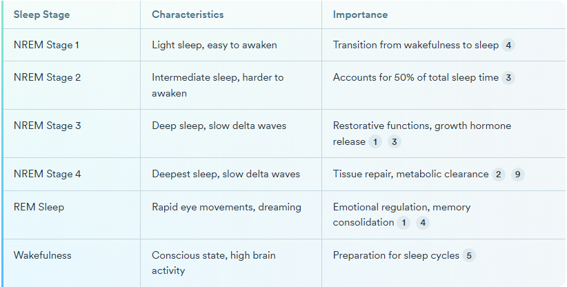 What is the deepest stage of sleep