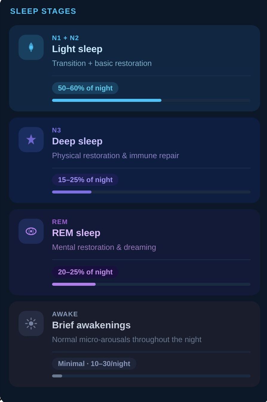 Sleep Stages