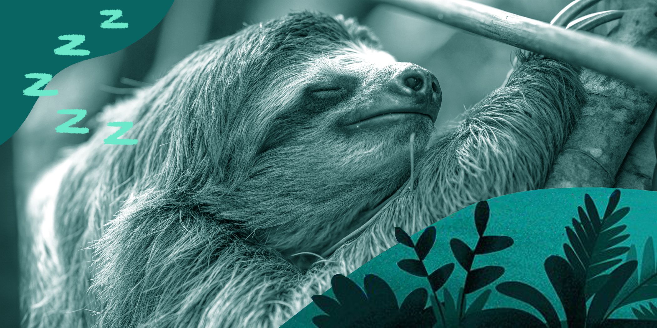  Why Do I Wake Up Tired After 8 Hours of Sleep?