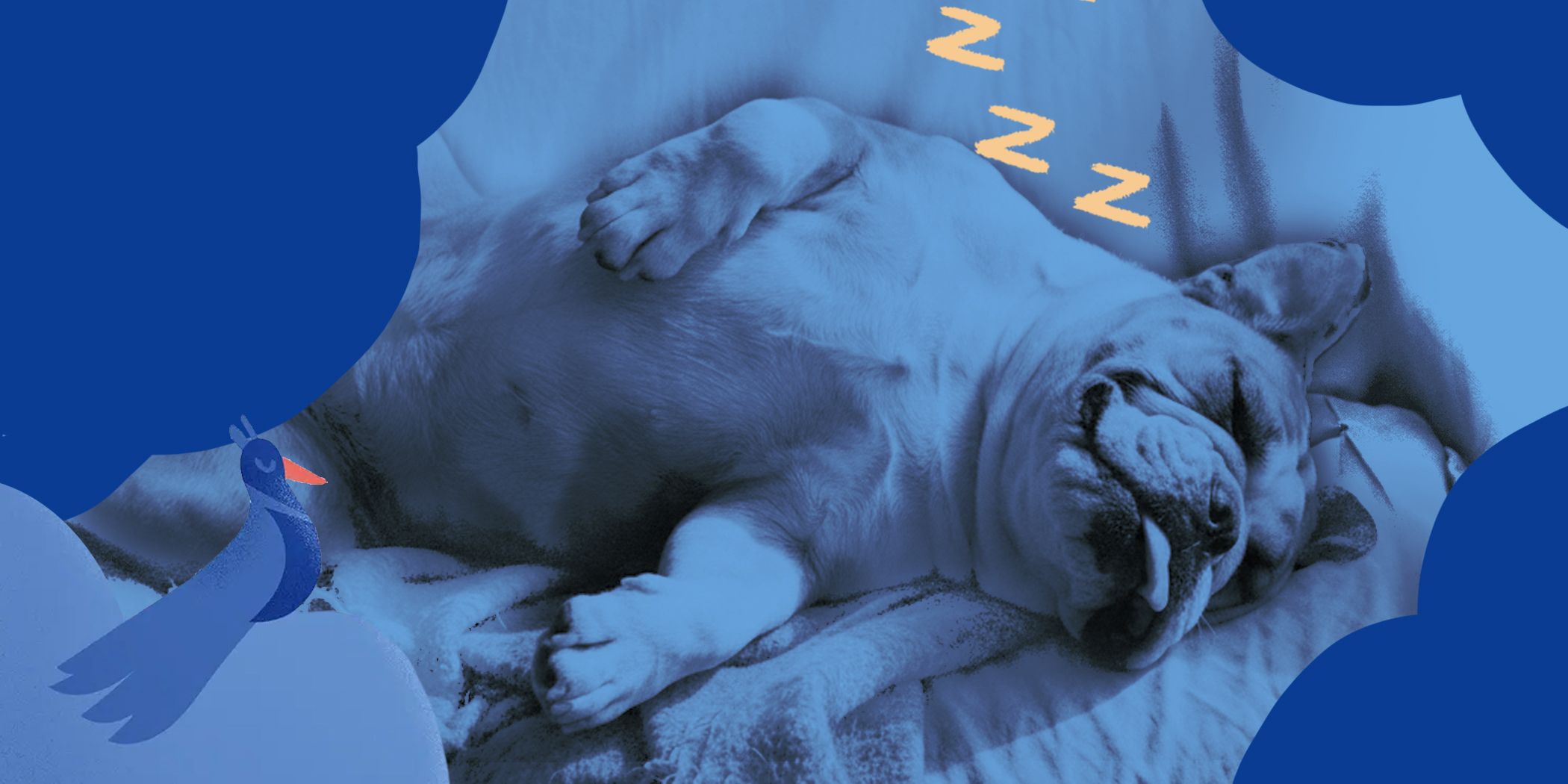 Benefits of Sleeping on Your Back: Tips to Sleep Better