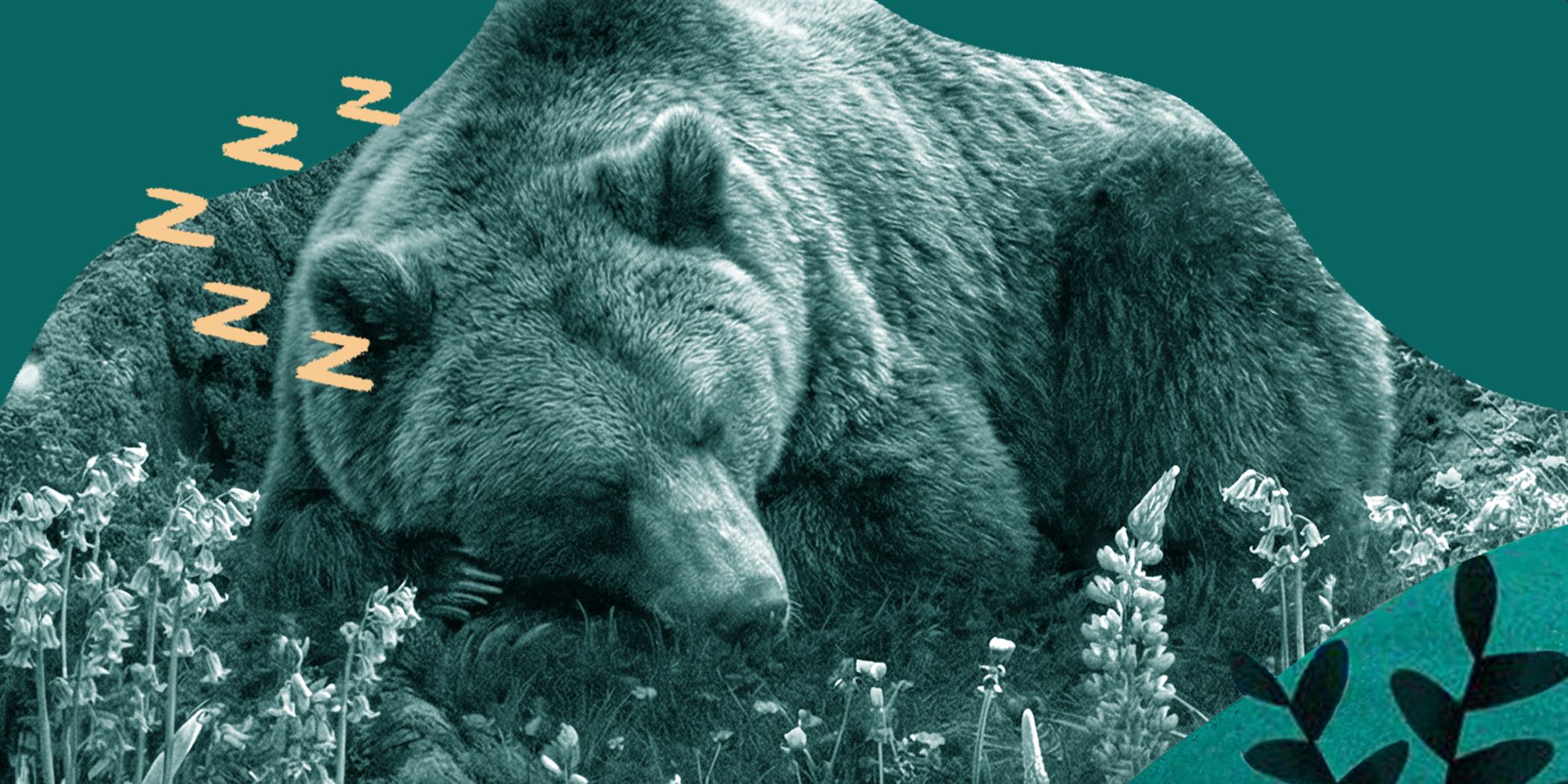 5 Benefits of Magnesium for Sleep