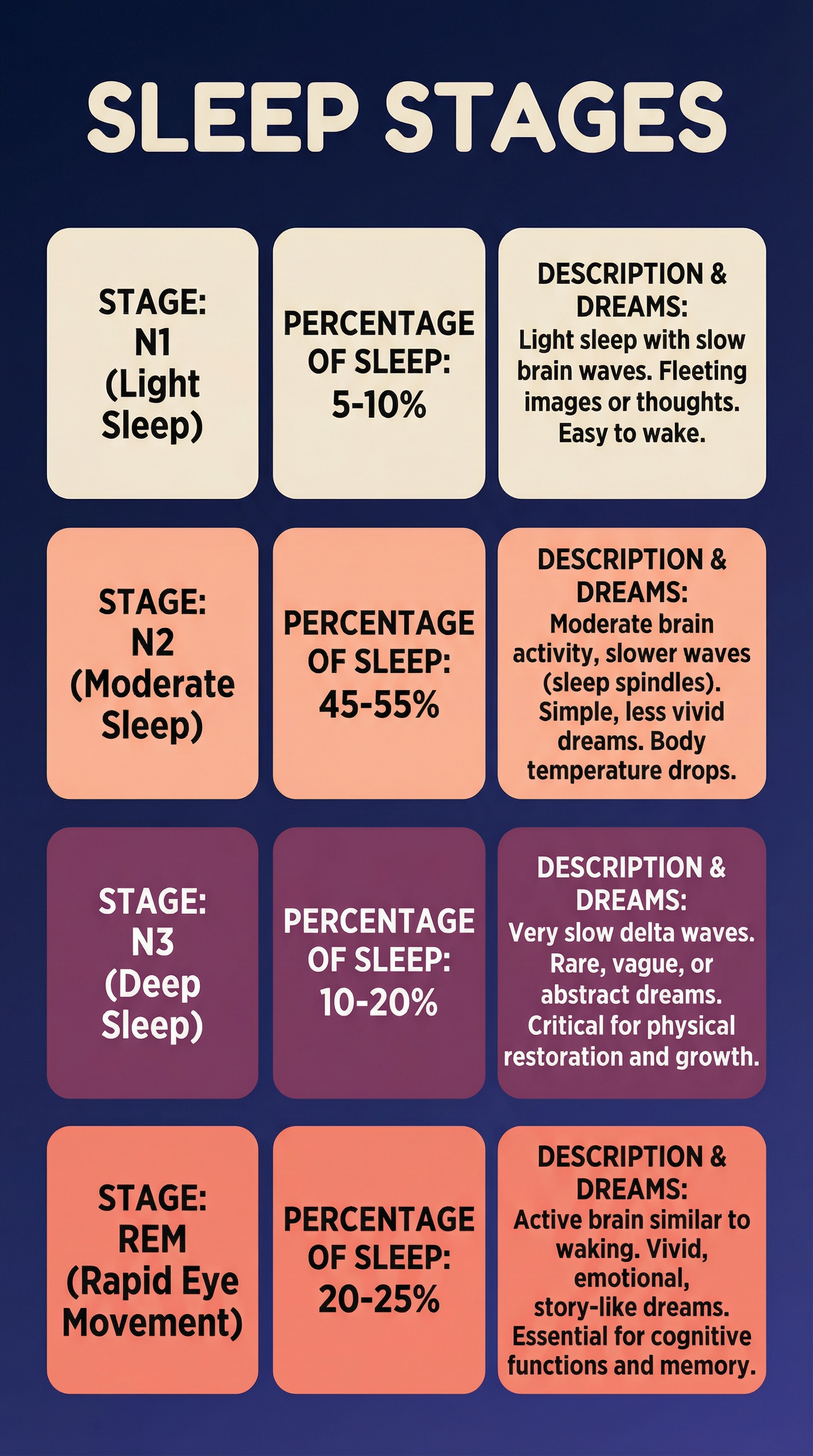 sleep stages 