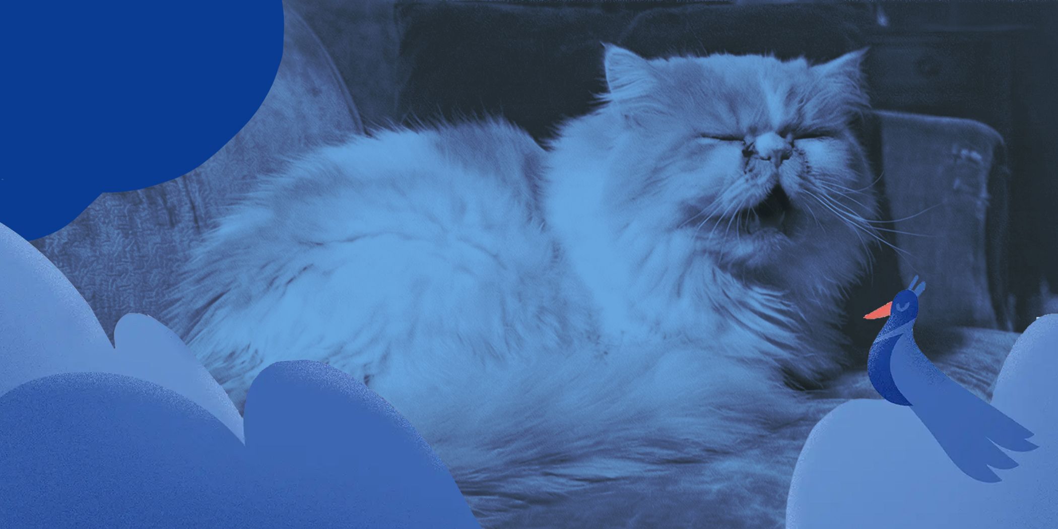 Sleep Apnea and Snoring: Why You Wake Up Tired