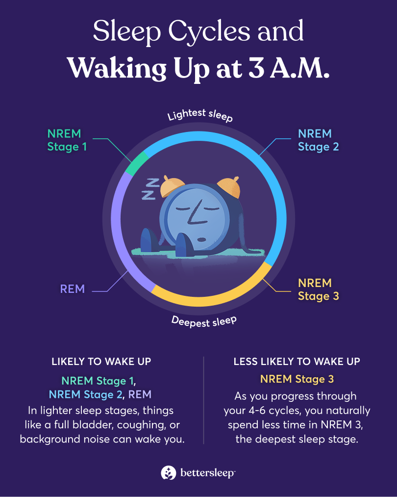Infographic that shows the parts of the sleep cycle in which you're more prone to waking.