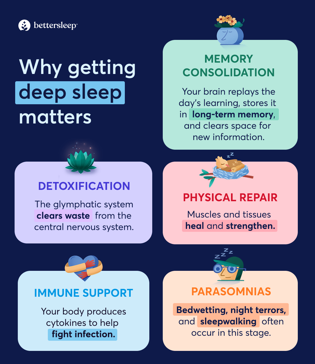 Infographic about how deep sleep helps the body.