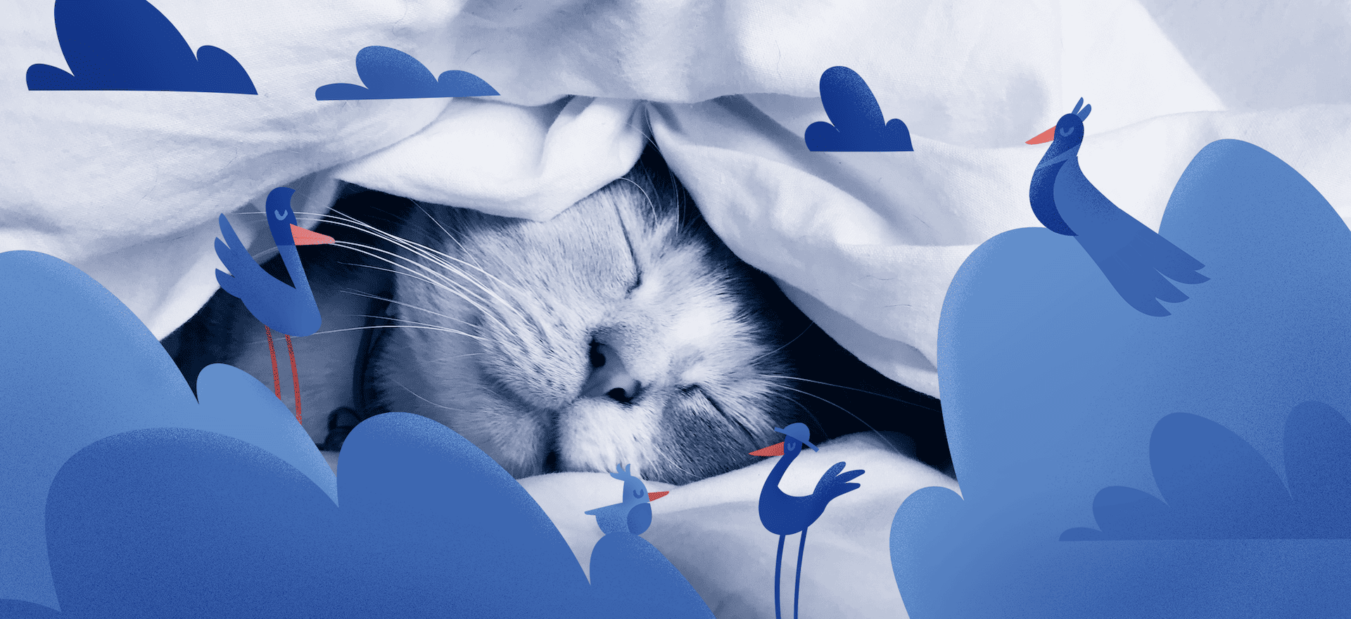 Prepare for Daylight Saving Time 2025 with BetterSleep