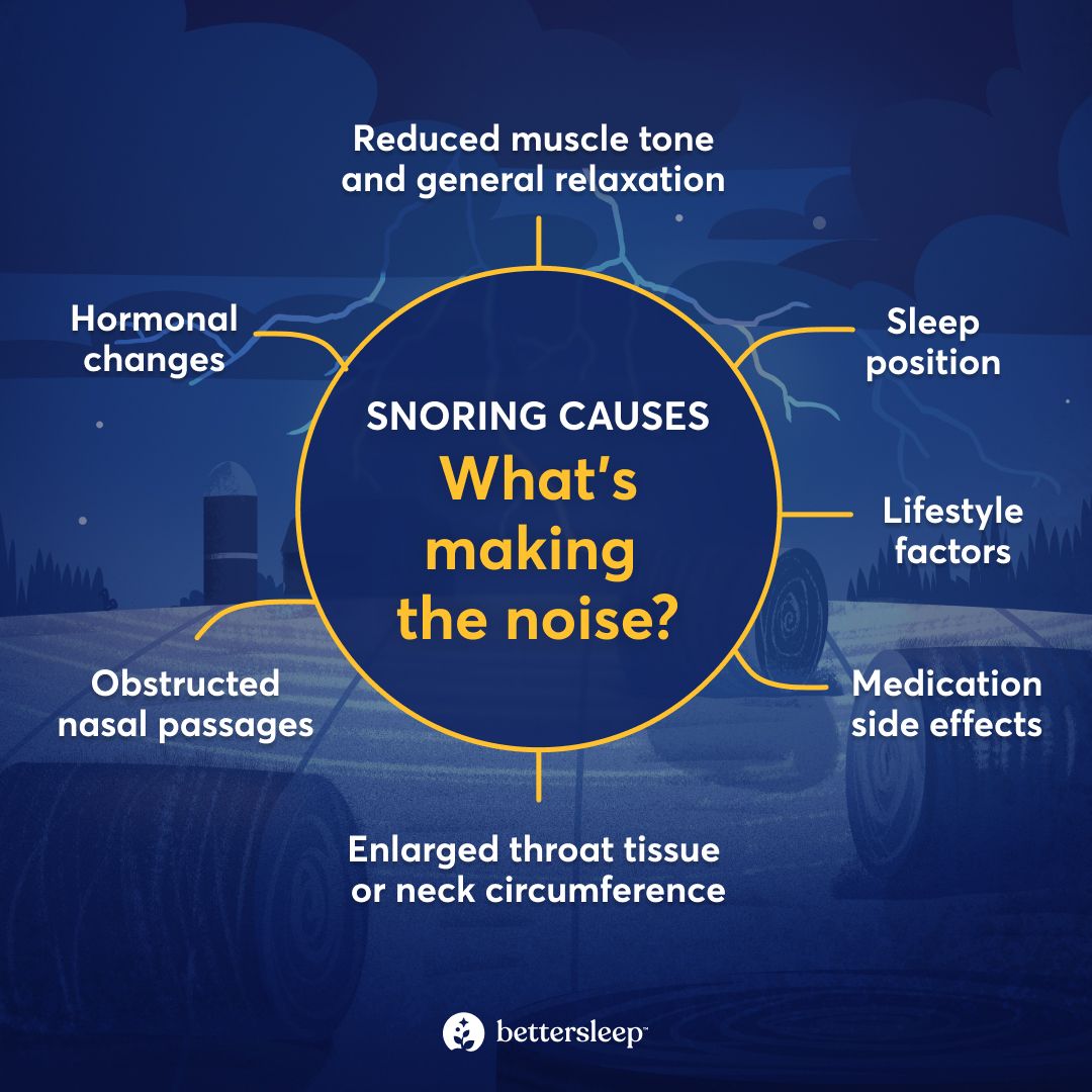 infographic explaining what makes the snoring sound