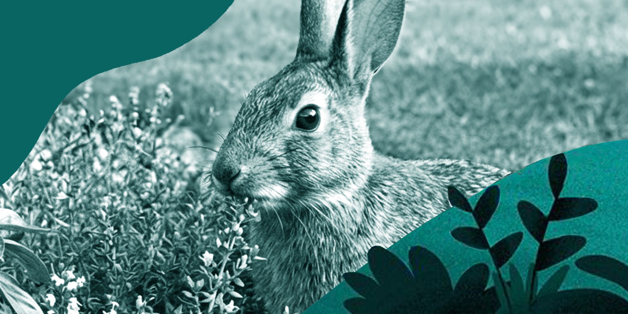 Strongest Natural Sleep Aid: What Works—And What to Skip