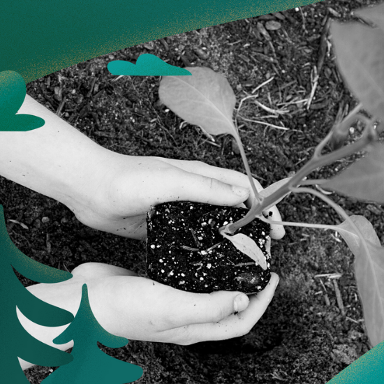 Tips for Managing Anxiety