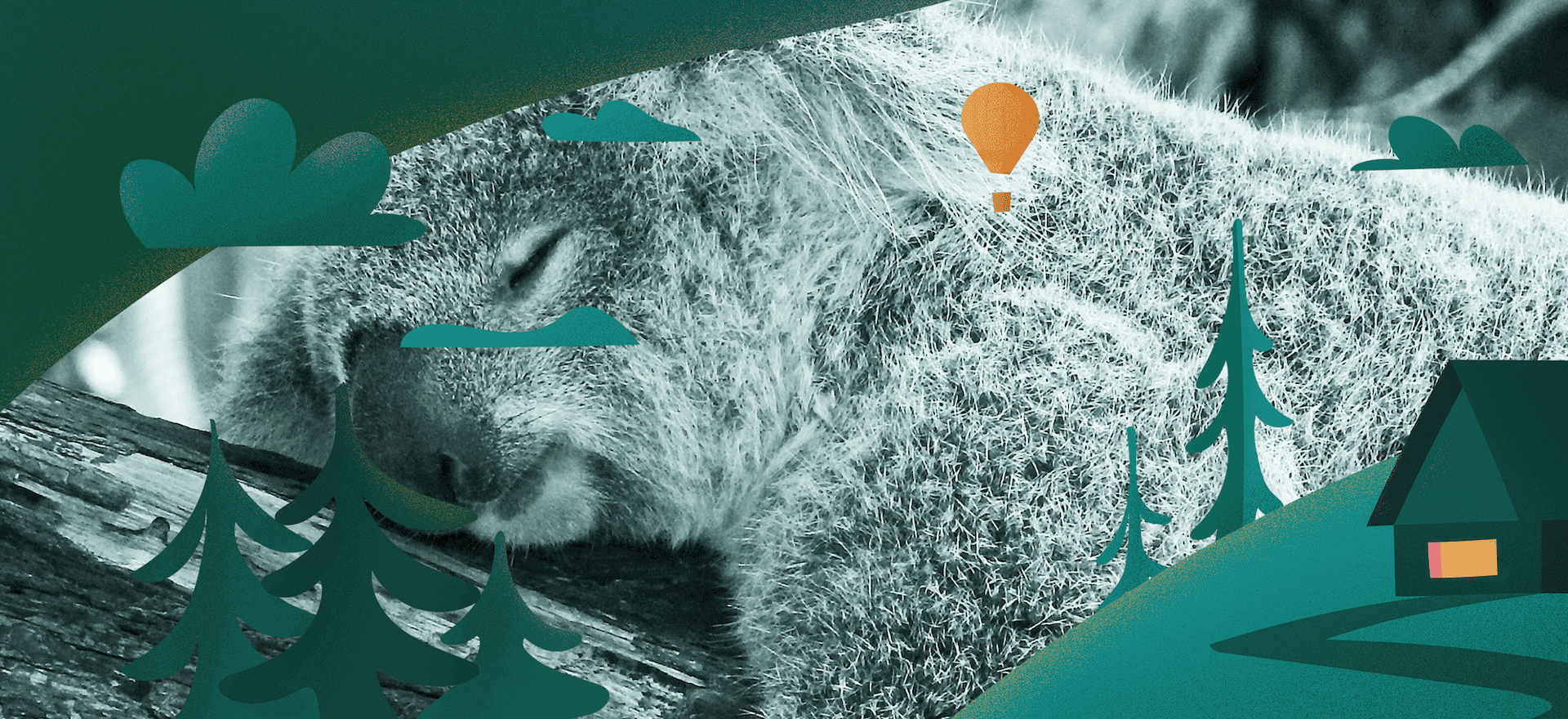 Biphasic Sleep: Is Sleeping in Two Parts Better for You?