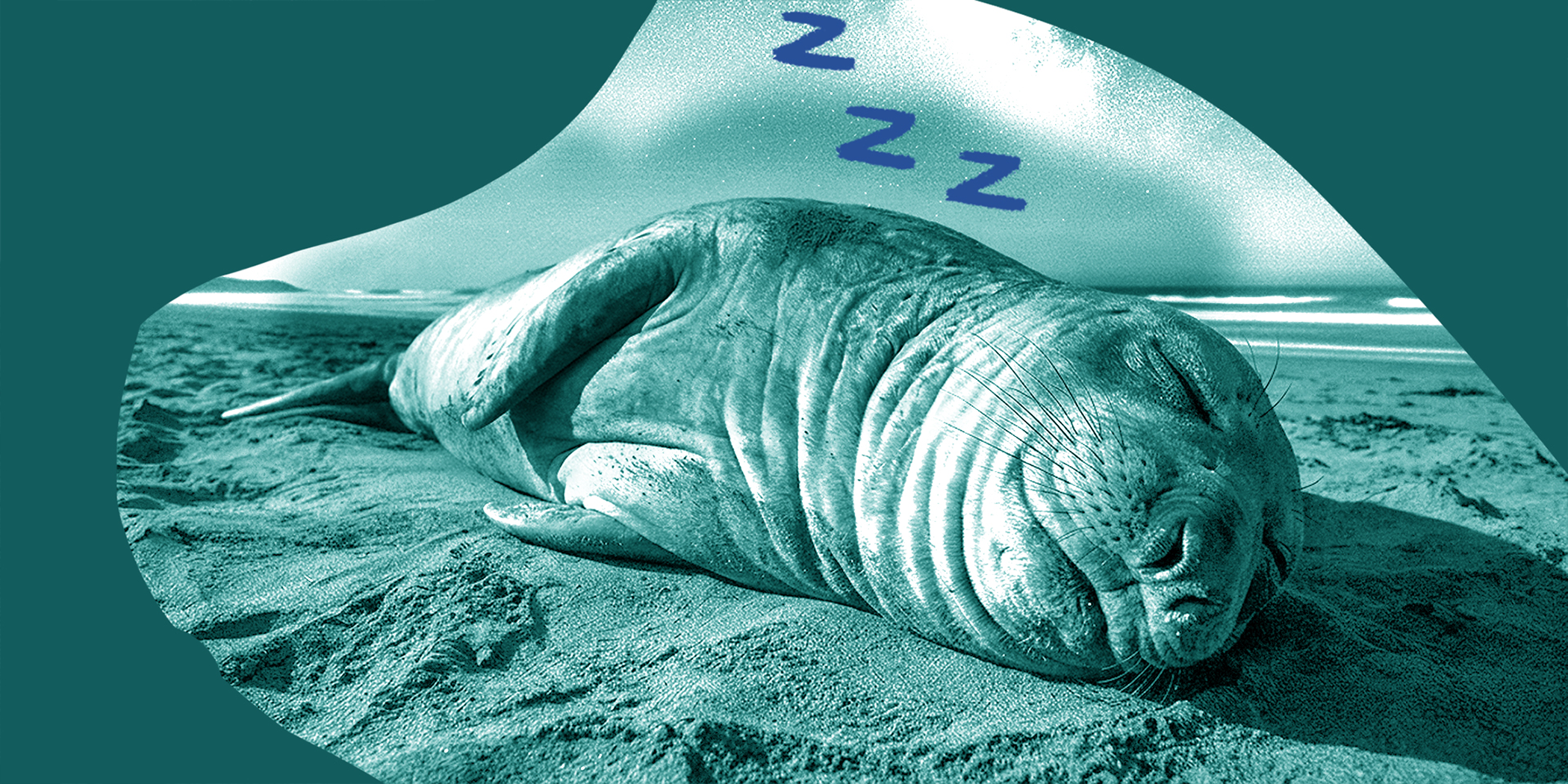 How to Get More Deep Sleep: An Evening Routine That Works