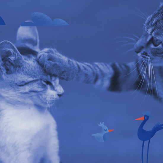 Dreaming of Cats? You’re Not Alone