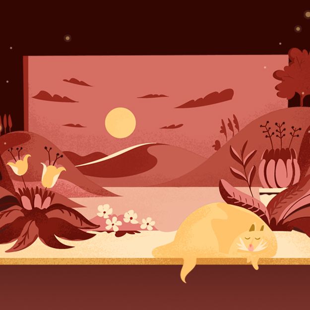 Lucid Dreams: What Are They and How to Make One Happen