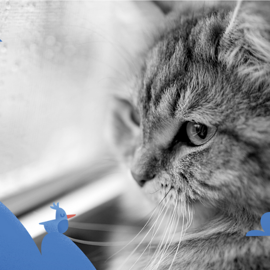 How Rain Helps Relaxation and Sleep