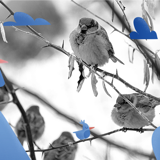 Calming Sounds for Sleep