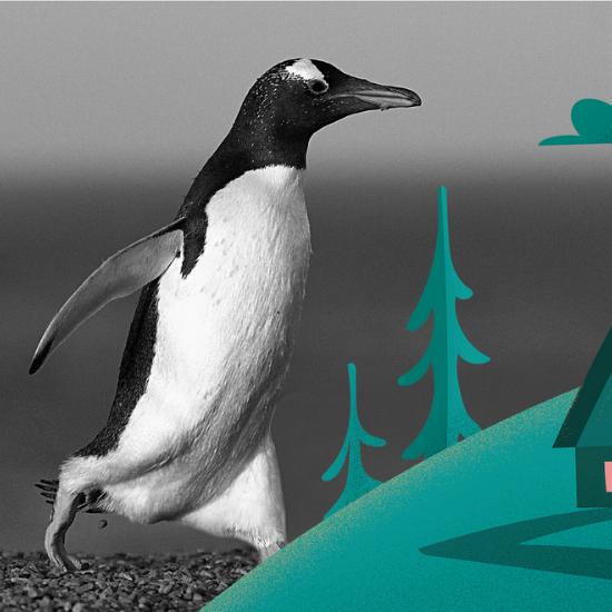 Dream Dive: Being Chased