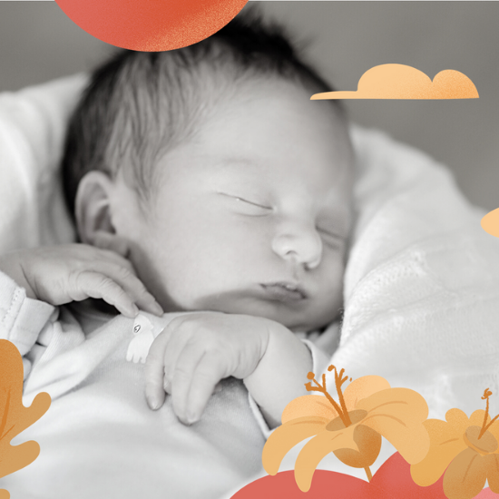 The Journey from Bassinet to Crib to Toddler Bed