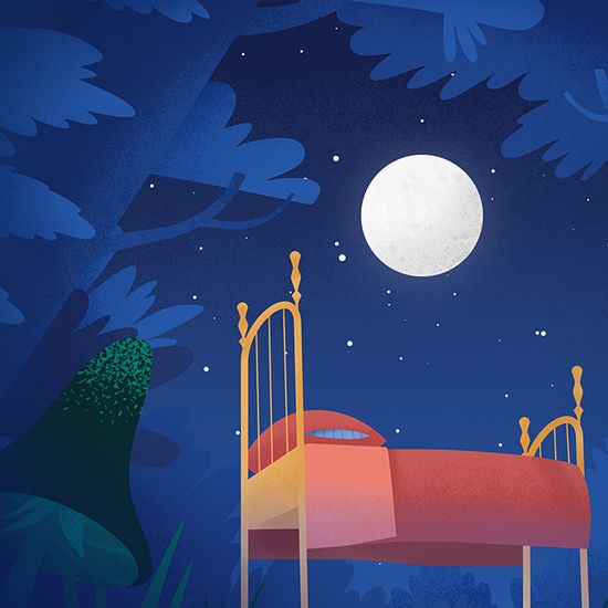 Sleep Myth-Buster: Fact, Fiction, or Somewhere in Between?