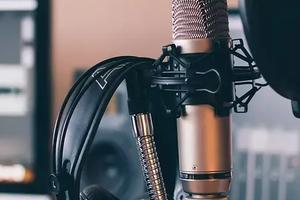 Voice