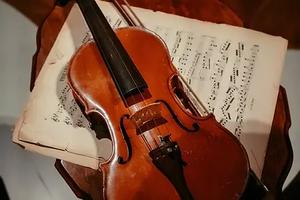Violin/Viola