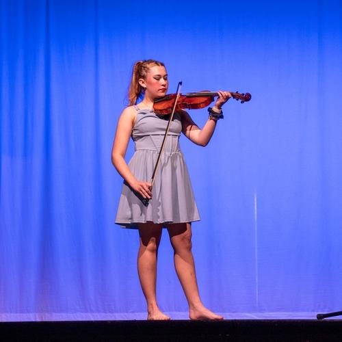 Violin/Viola